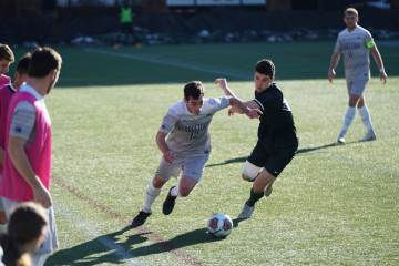 巴西名嘴：我为梅西和阿根廷高兴，他们成了南美足球的独苗（配图示意）